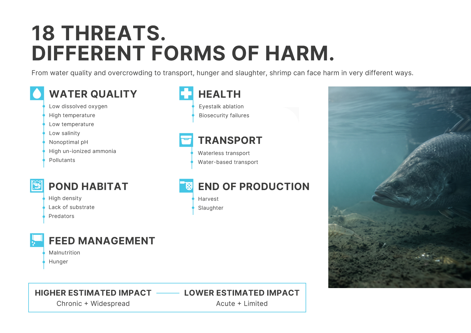 18 threats different forms of harm